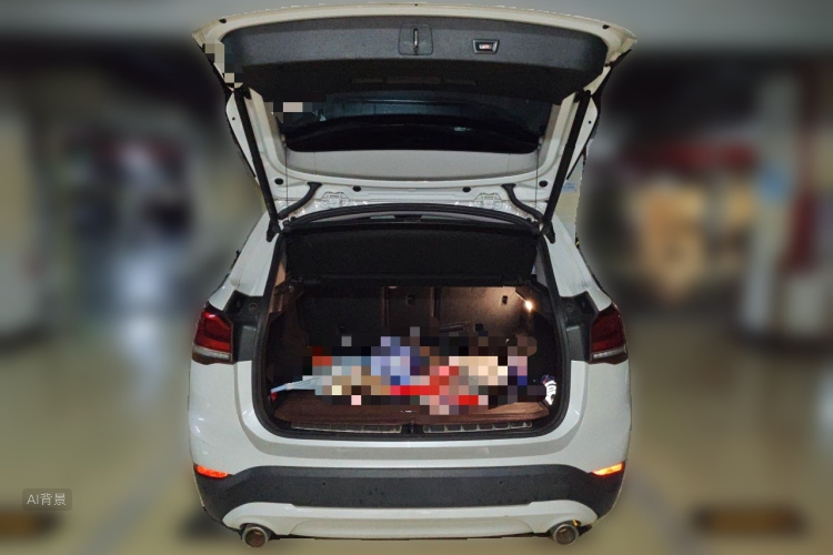 BMW X1 2020 car image #21