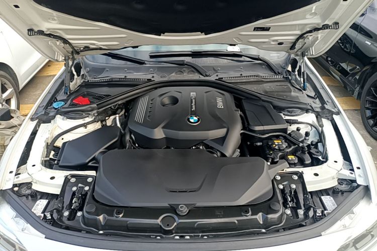 BMW 3 Series 2017 #20 BMW 3 Series 2017 car image #20
