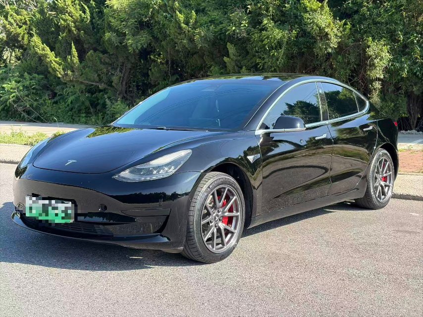 Tesla Model 3 2020 car image 