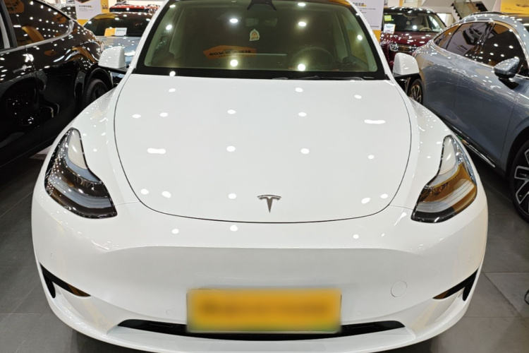 Tesla Model Y 2022 immagine di auto #3