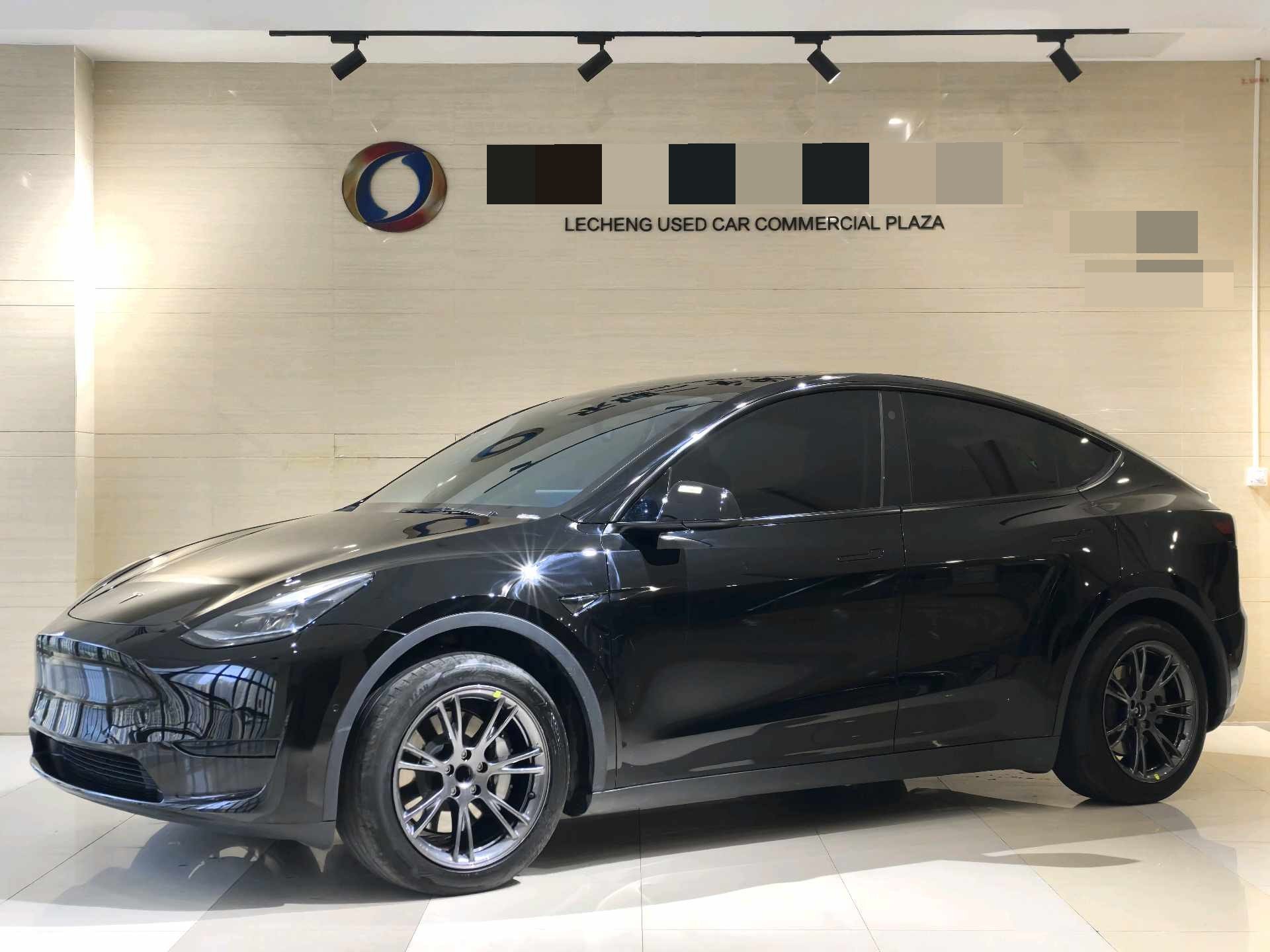 Tesla Model Y 2024 car image 