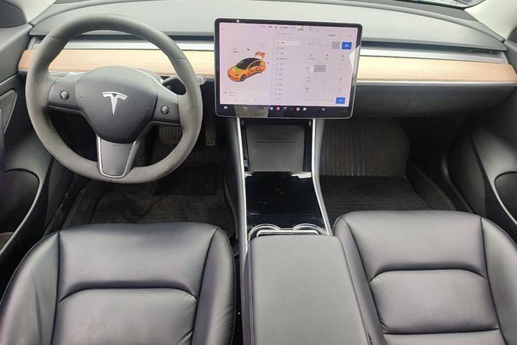 Tesla Model 3 2020 car image #10