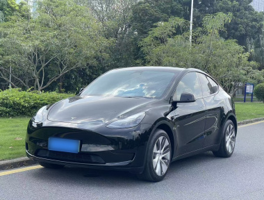 Tesla Model Y 2023 Tesla Model Y 2023 car image