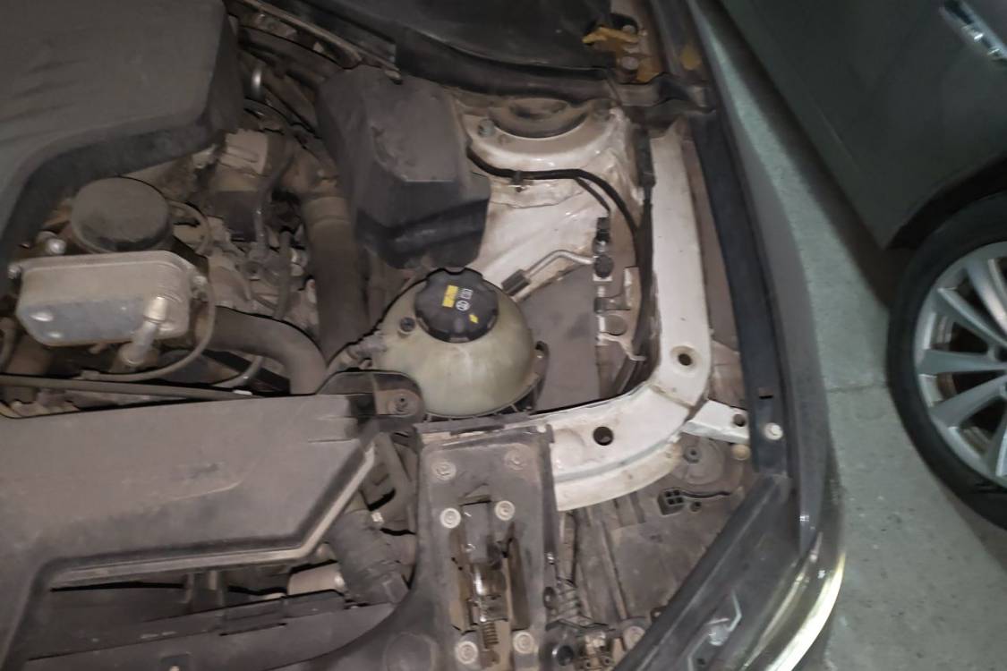 BMW 3 Series 2014 #12 BMW 3 Series 2014 immagine di auto #12