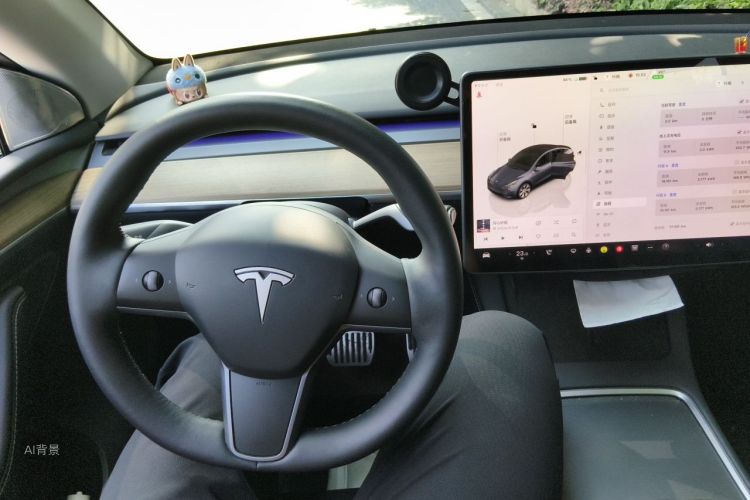 Tesla Model Y 2022 car image #12