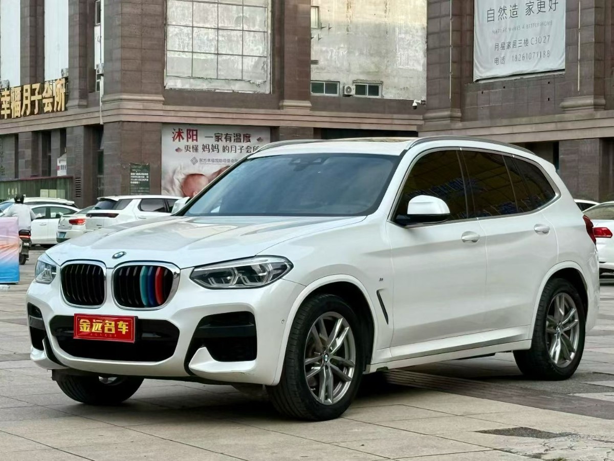 BMW X3 2019 car image 