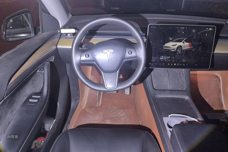 Tesla Model Y 2023 car image #12