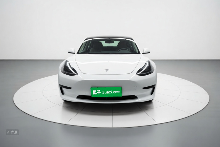 Tesla Model 3 2022 car image #3