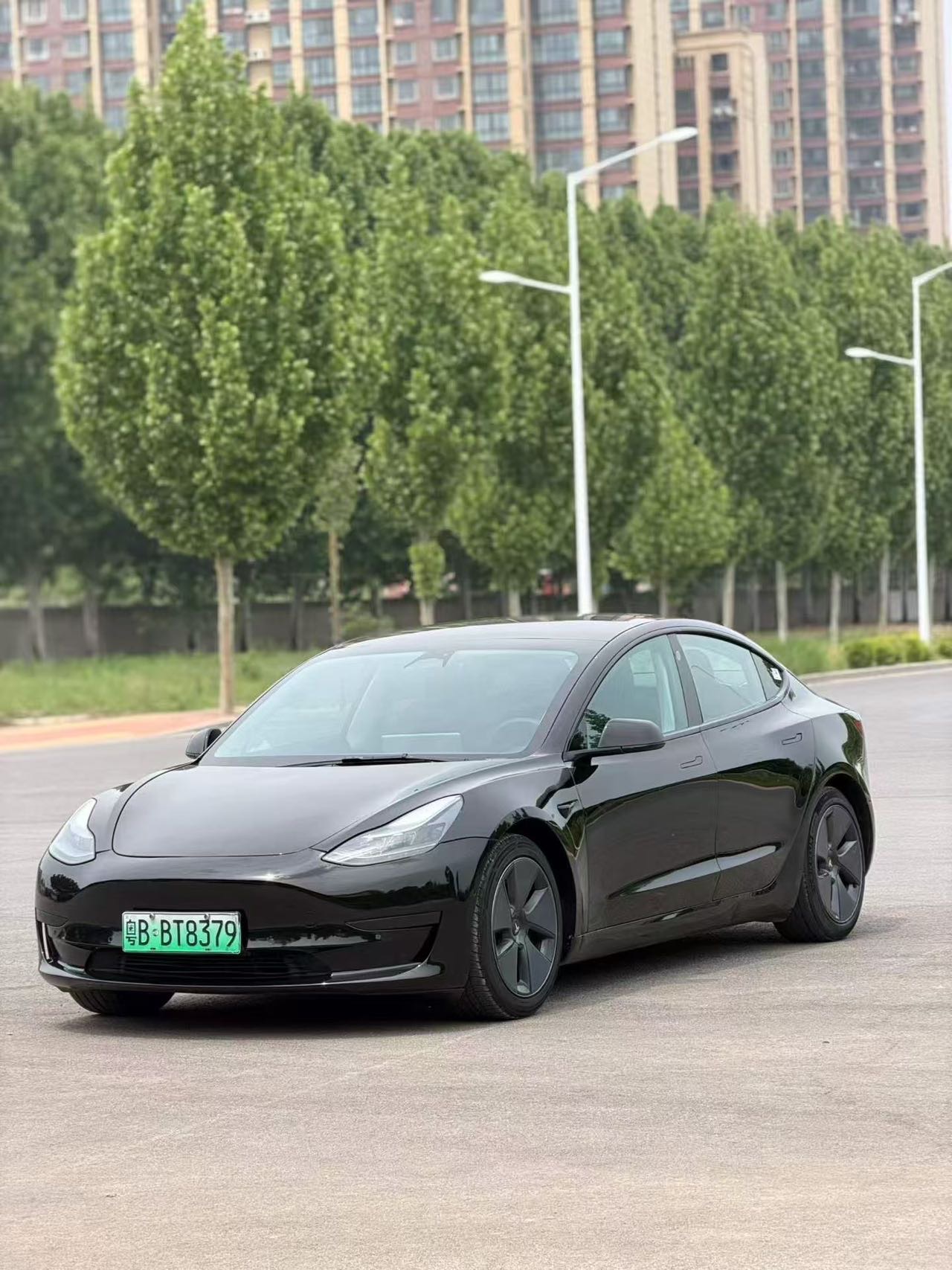 Tesla Model 3 2023 Tesla Model 3 2023 car image