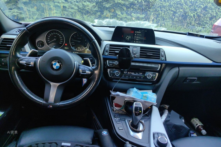BMW 3 Series 2018 car image #11