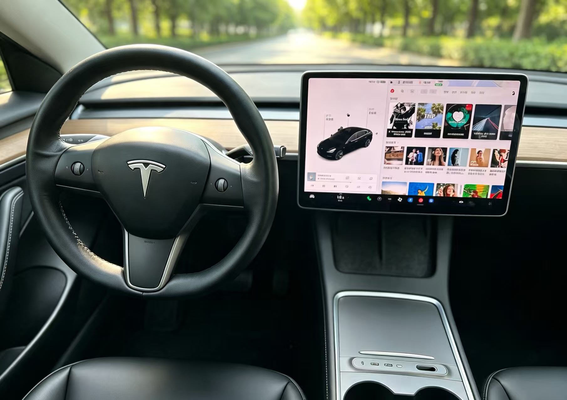 Tesla Model 3 2021 #5 Tesla Model 3 2021 car image #5