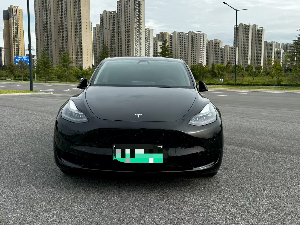 Tesla Model Y 2022 #2 Tesla Model Y 2022 car image #2