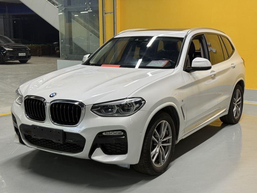 BMW X3 2019 BMW X3 2019 car image