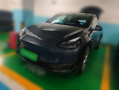 Tesla Model Y 2021 car image 