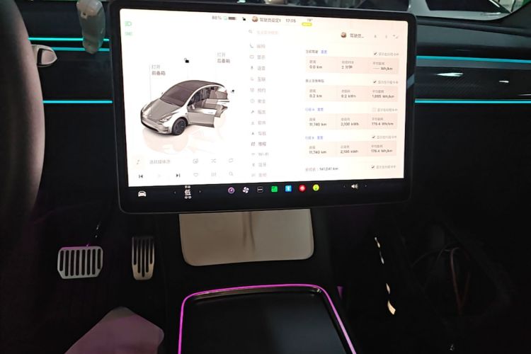 Tesla Model Y 2022 car image #13