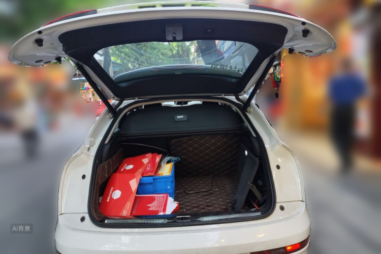 奥迪 奥迪Q3 2017 汽车图片 #21