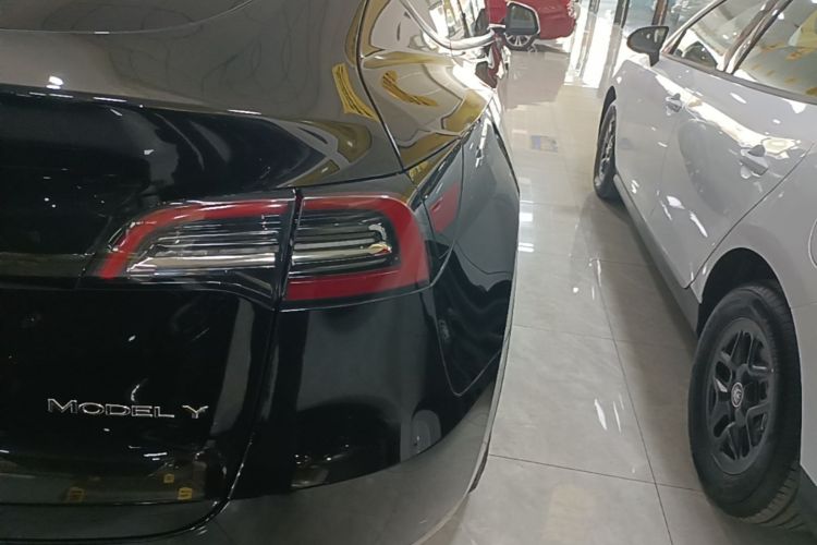Tesla Model Y 2023 #8 Tesla Model Y 2023 car image #8