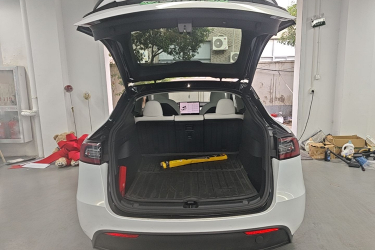 Tesla Model Y 2021 #19 Tesla Model Y 2021 car image #19