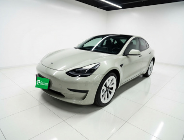 Tesla Model 3 2022 Tesla Model 3 2022 immagine di auto
