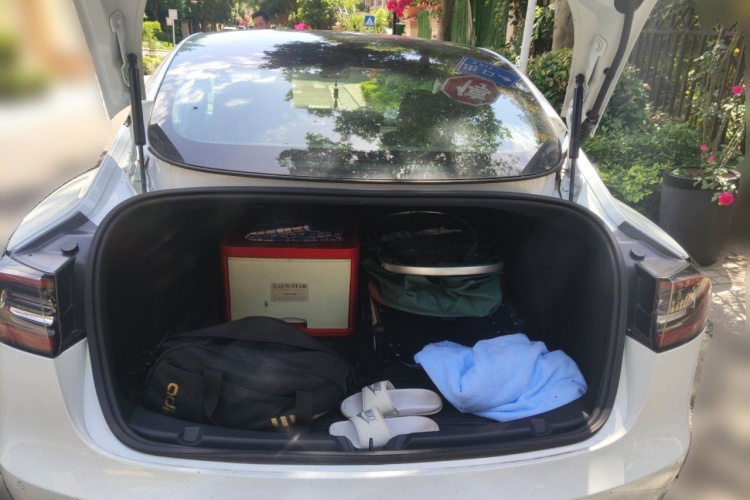 Tesla Model 3 2020 car image #18