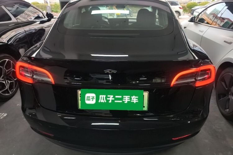 Tesla Model 3 2021 car image #4