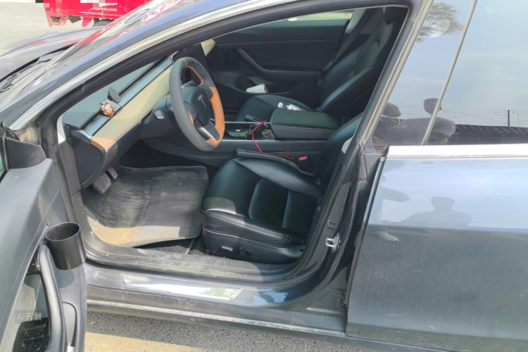 Tesla Model 3 2020 car image #17