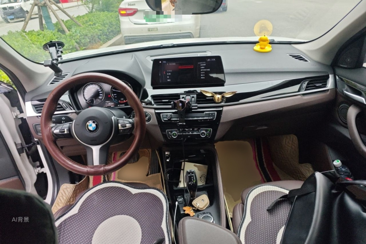 BMW X1 2020 car image #11