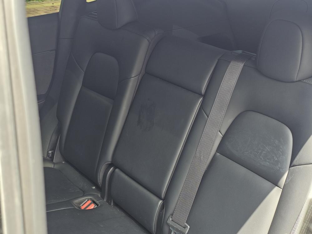 Tesla Model Y 2023 #15 Tesla Model Y 2023 car image #15