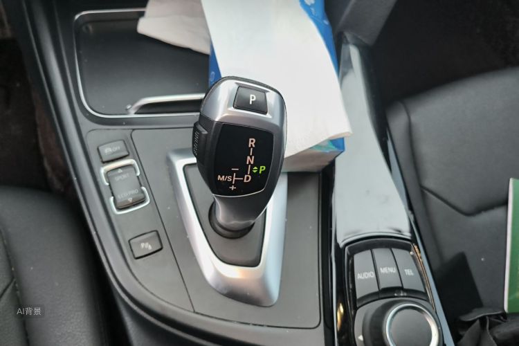 BMW 3 Series 2017 car image #16