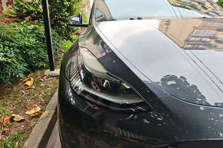 Tesla Model Y 2024 car image #8