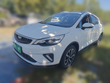 GEELY Emgrand GS 2020 car image 