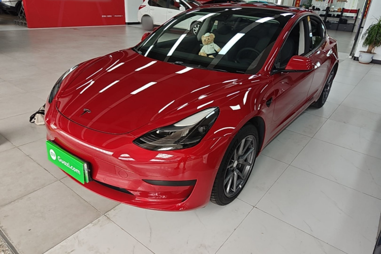 Tesla Model 3 2022 car image #2
