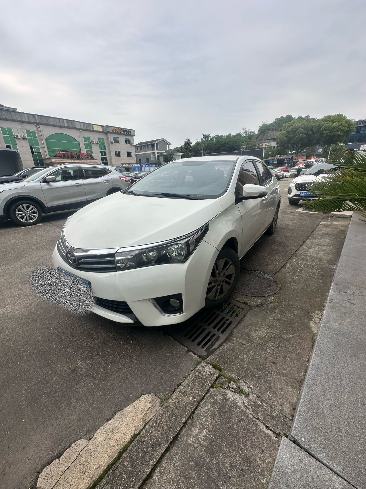 Toyota Corolla 2016 Toyota Corolla 2016 car image