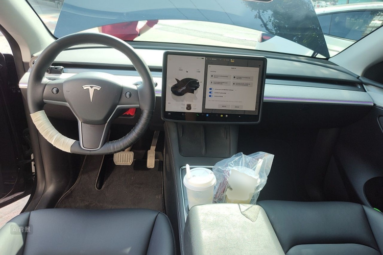 Tesla Model Y 2024 car image #11