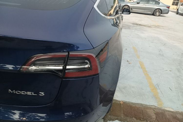 Tesla Model 3 2020 immagine di auto #8