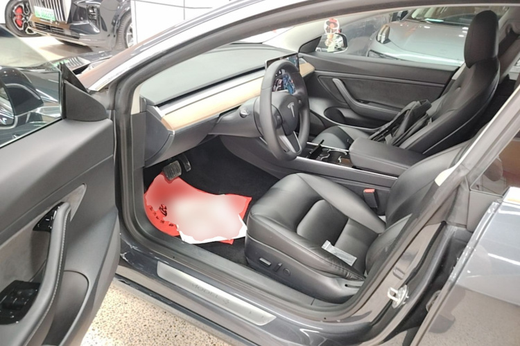 Tesla Model 3 2020 car image #16