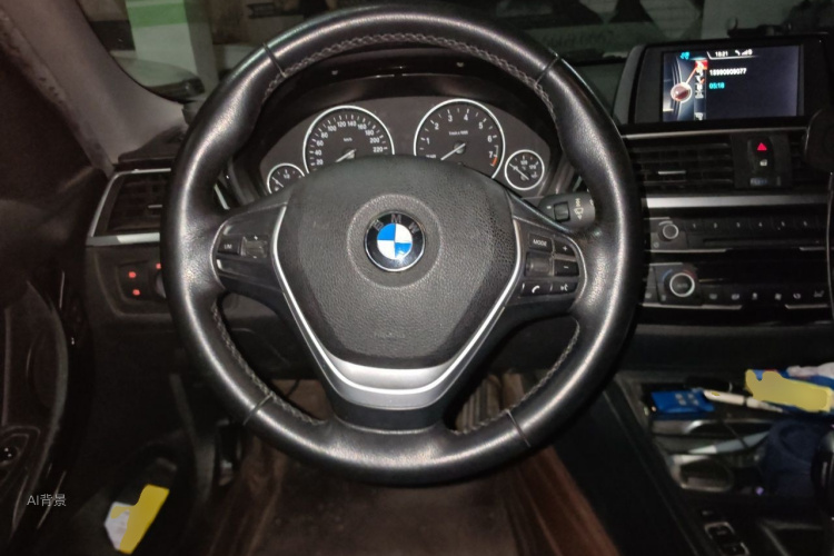 BMW 3 Series 2017 car image #12