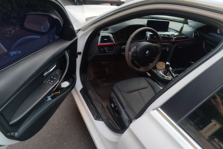 BMW 3 Series 2014 car image #18