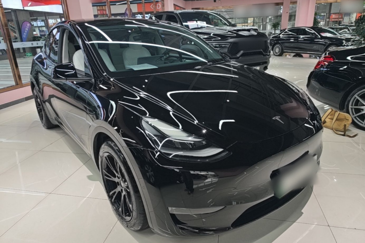 Tesla Model Y 2021 car image #4