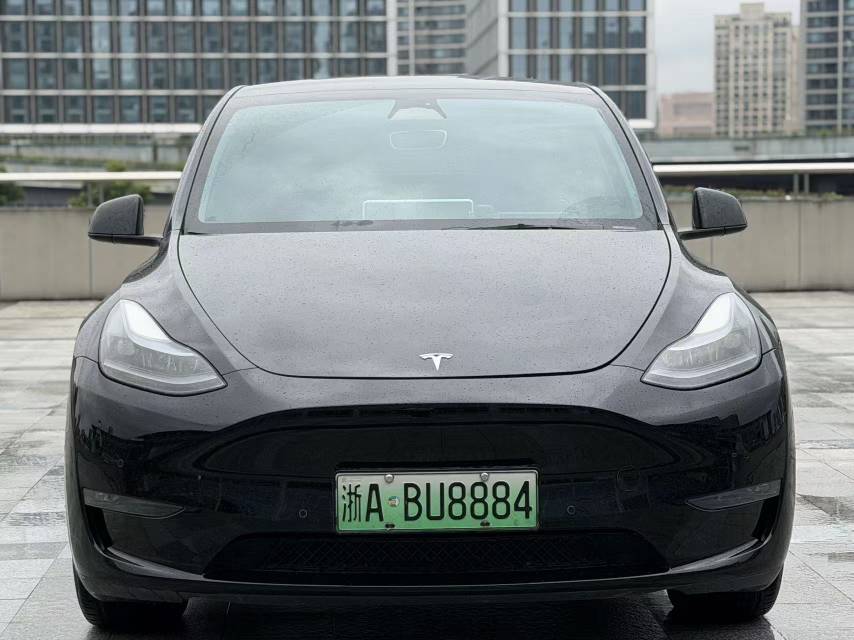 Tesla Model Y 2023 Tesla Model Y 2023 car image