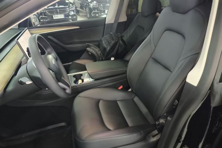 Tesla Model Y 2021 car image #15