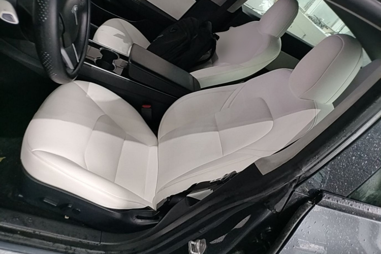 Tesla Model 3 2020 #19 Tesla Model 3 2020 car image #19
