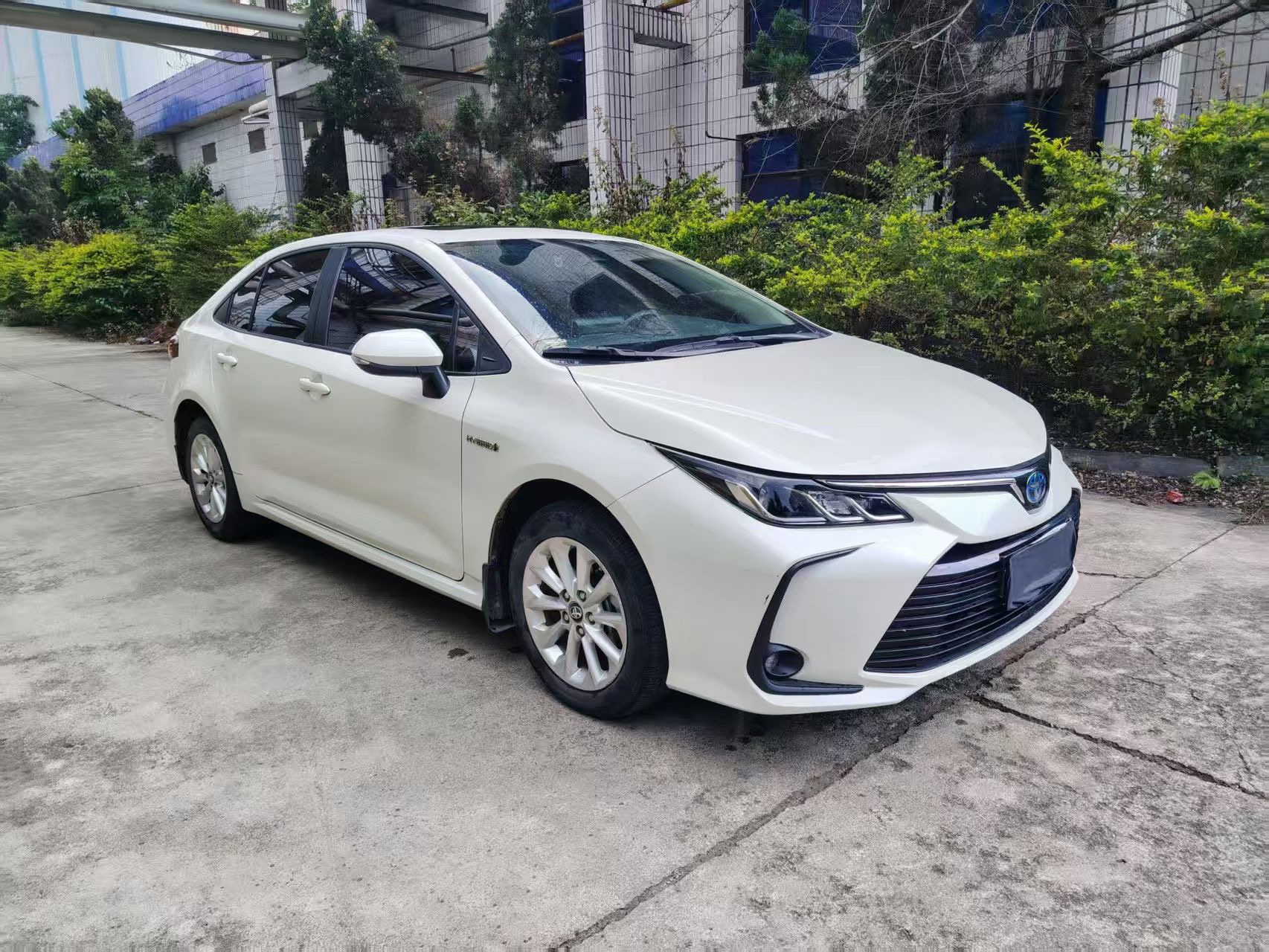 丰田 卡罗拉 2021 汽车图片 #3