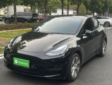 Tesla Model Y 2023 car image 