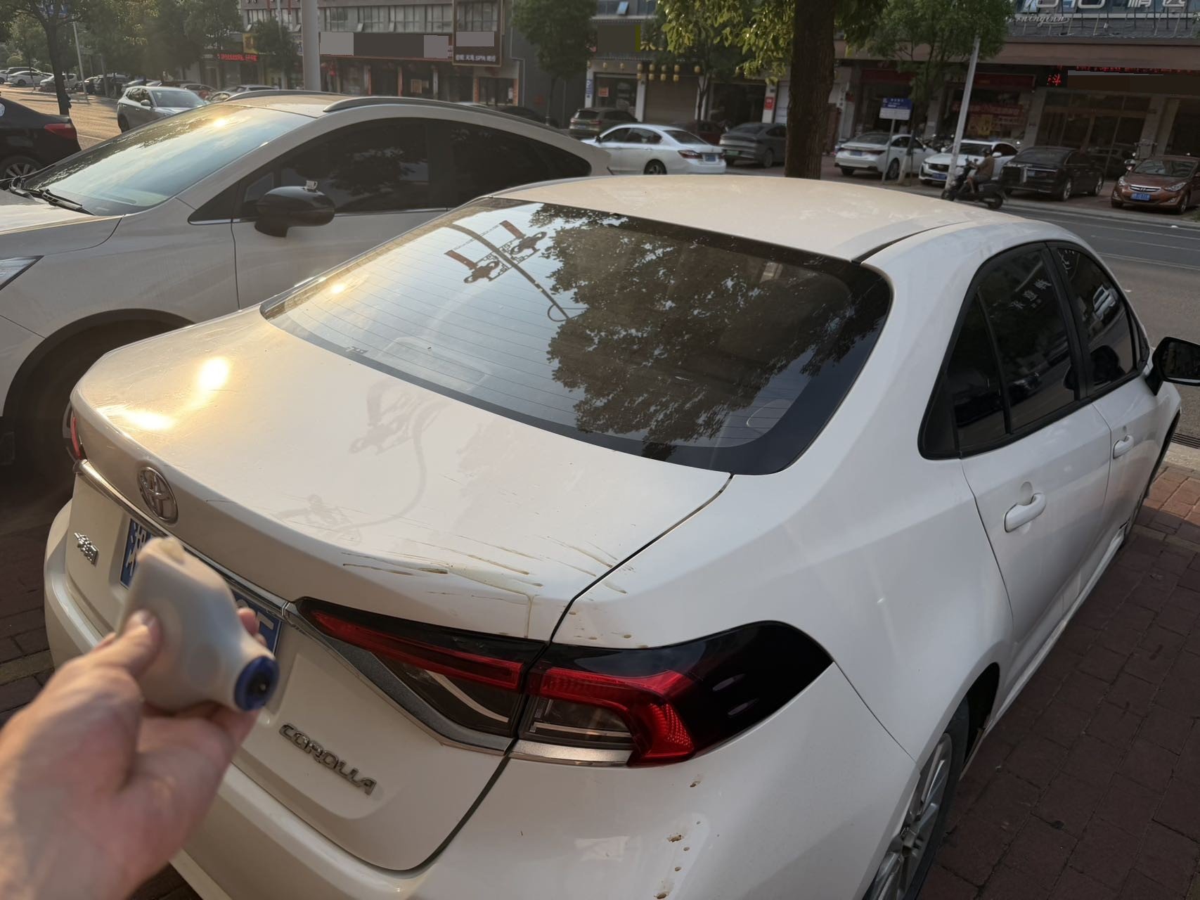 Toyota Corolla 2022 imagen de coche #5