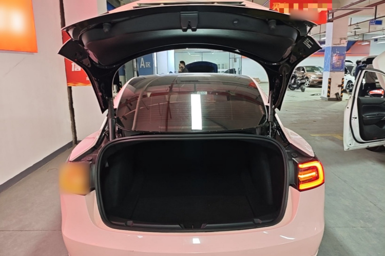 Tesla Model 3 2021 #19 Tesla Model 3 2021 car image #19