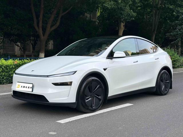 Tesla Model Y 2025 car image #17