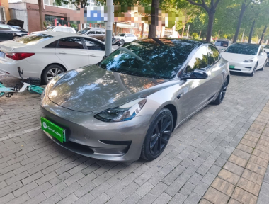 Tesla Model 3 2021 car image 