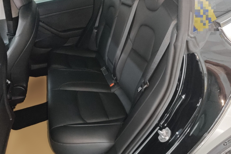 Tesla Model 3 2023 car image #17
