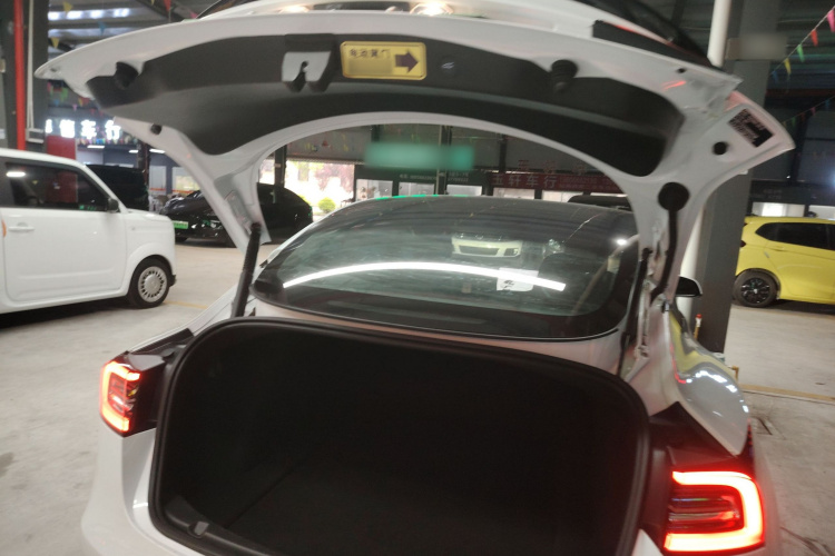 Tesla Model 3 2021 #19 Tesla Model 3 2021 car image #19